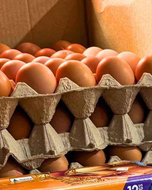 Fresh Halal Meat & Eggs